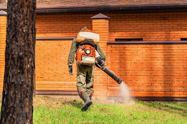 Trusted Rodent Control service in Meggett, SC - Nex Pest Control